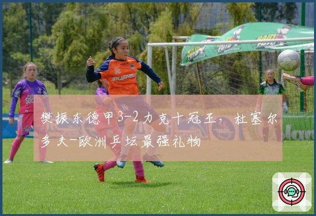 樊振东德甲3-2力克十冠王，杜塞尔多夫-欧洲乒坛最强礼物